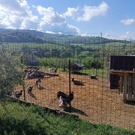 Villa La Piccola Fattoria Todi Esterno foto