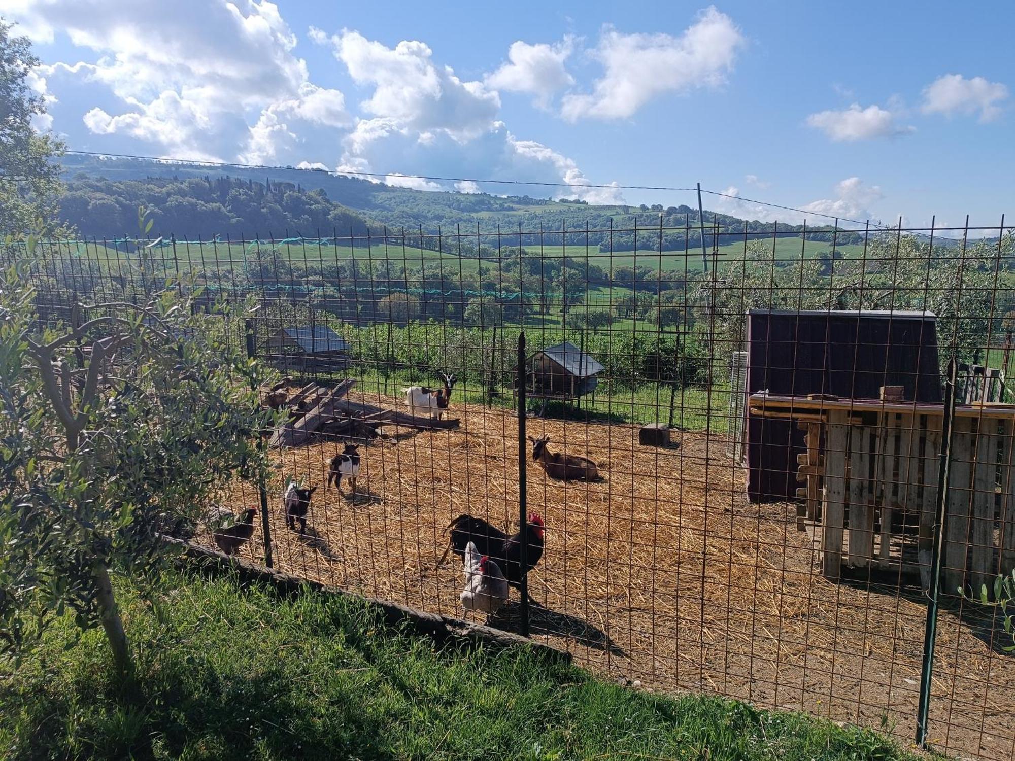 Holiday home La Piccola Fattoria *