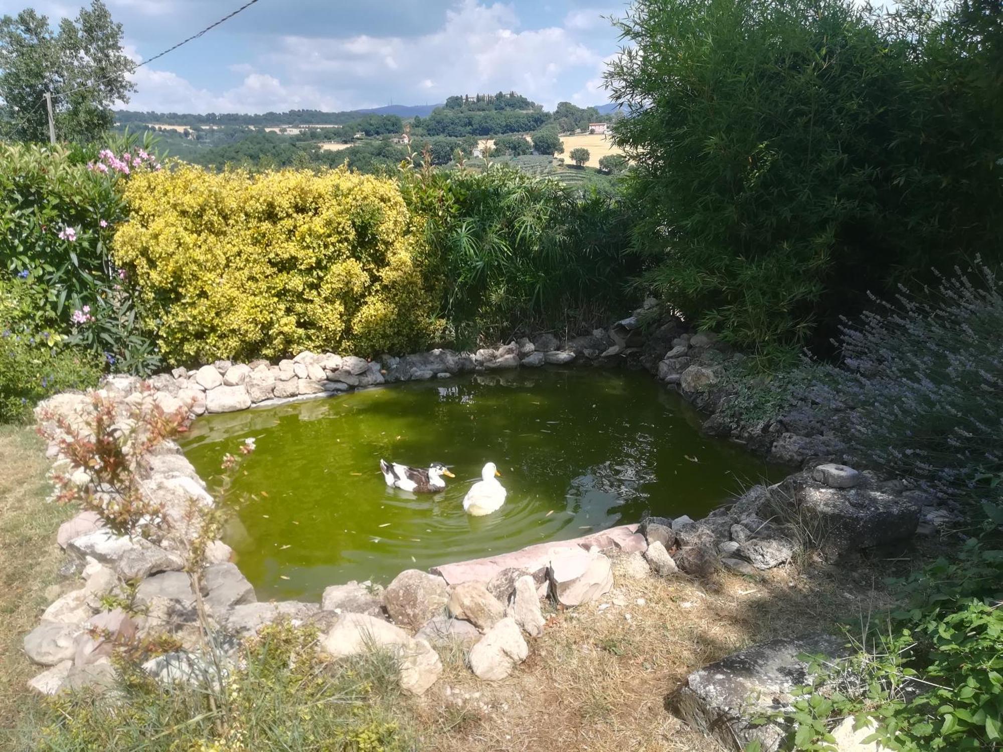 La Piccola Fattoria Todi