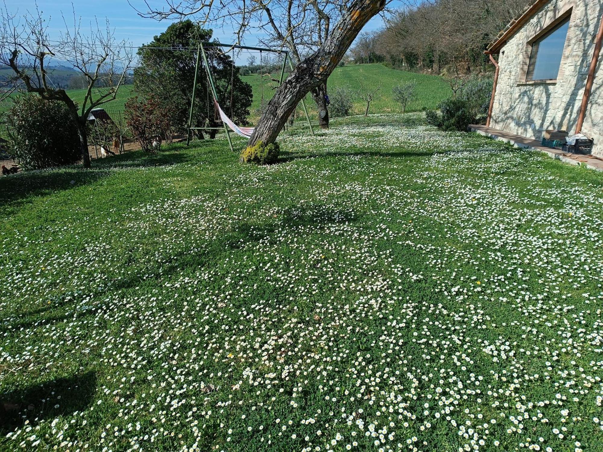 Holiday home La Piccola Fattoria